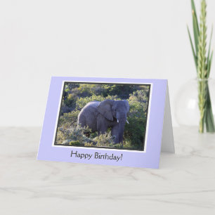 Elephant i Träd Grattis på födelsedagen Kort