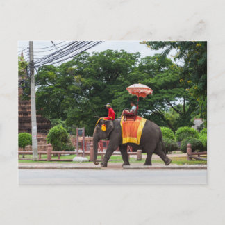 Elephant in Ayutthaya Thailand Vykort
