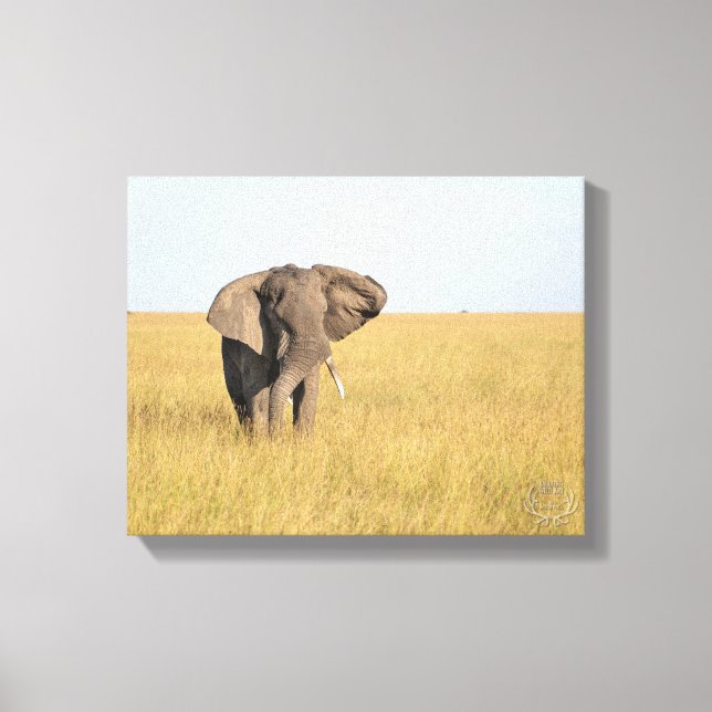 Elephant in Natural Setting Wrapped Canvas Print (Framsida)