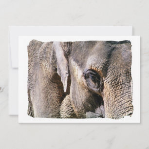 ELEPHANT-inbjudan