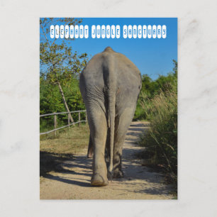 Elephant Jungle Sanctuary Vykort