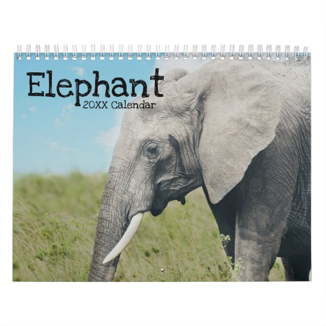 Elephant Kalender (Omslag)