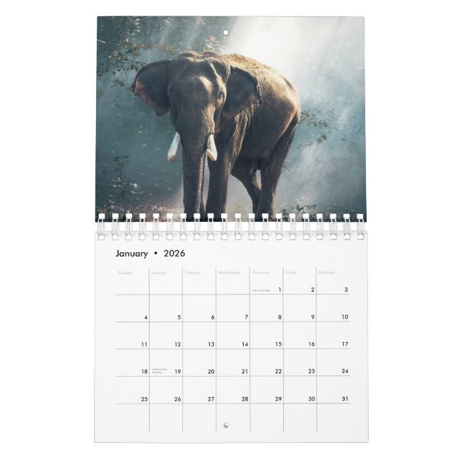 Elephant Kalender (Jan 2026)