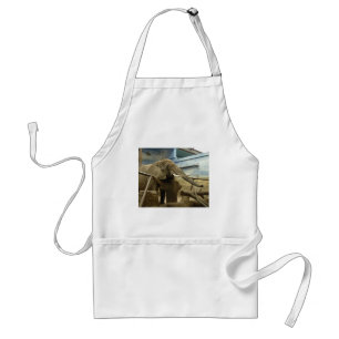 Elephant Kärlek Förkläde