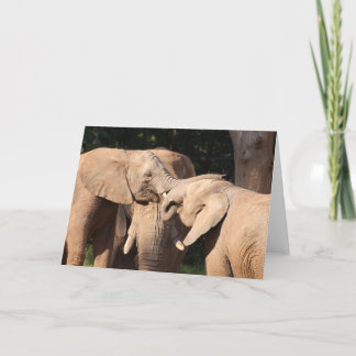 Elephant Kärlek Greeting Card Kort