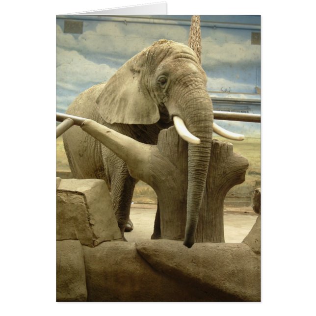 Elephant Kärlek Hälsningskort (Framsidan)