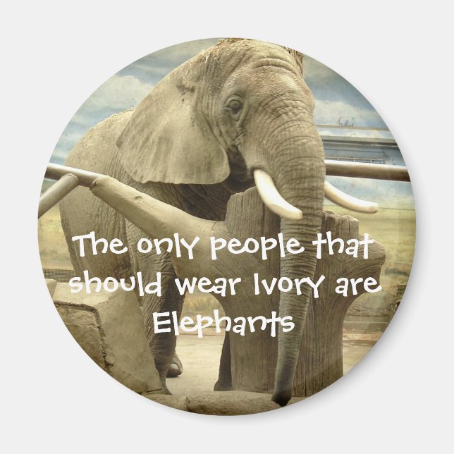 Elephant Kärlek Magnet (Framsidan)