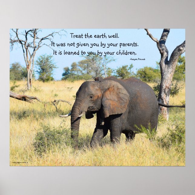 Elephant Kenya Proverb Poster (Framsidan)