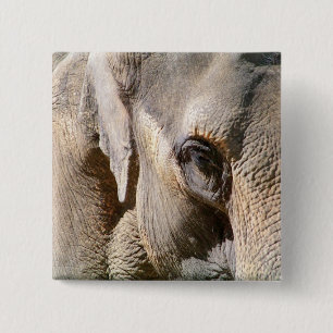 ELEPHANT KNAPP