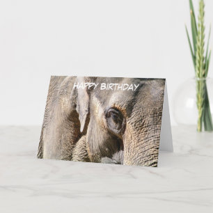 ELEPHANT KORT