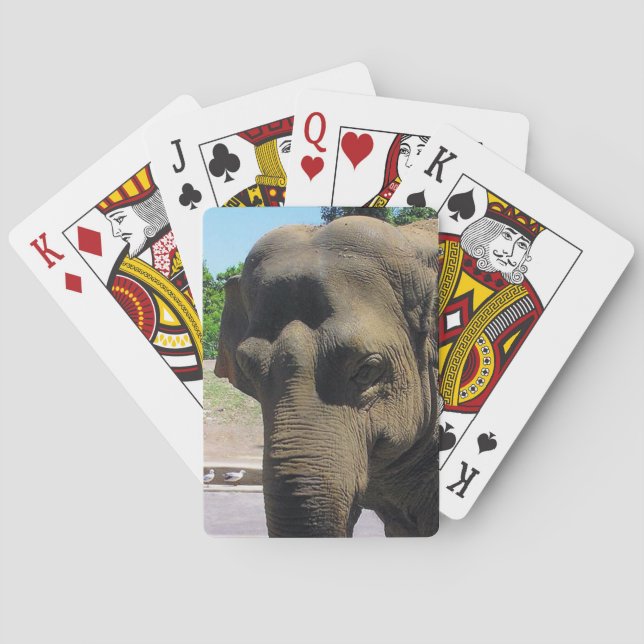 Elephant-kort Spel Kort (Baksidan)