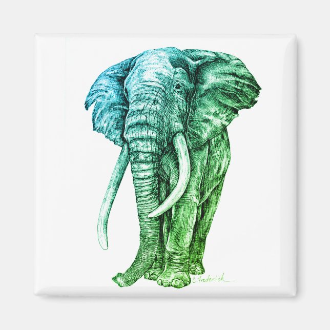 Elephant Magnet (Framsidan)