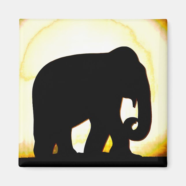 Elephant Magnet (Framsidan)