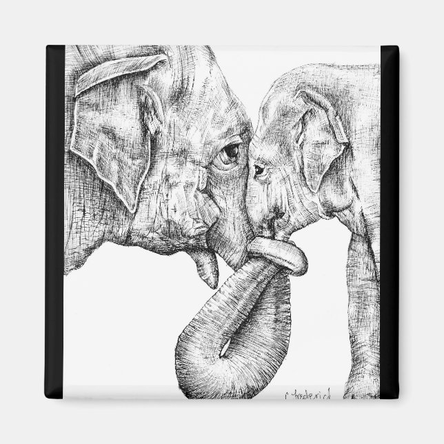 Elephant Magnet (Framsidan)