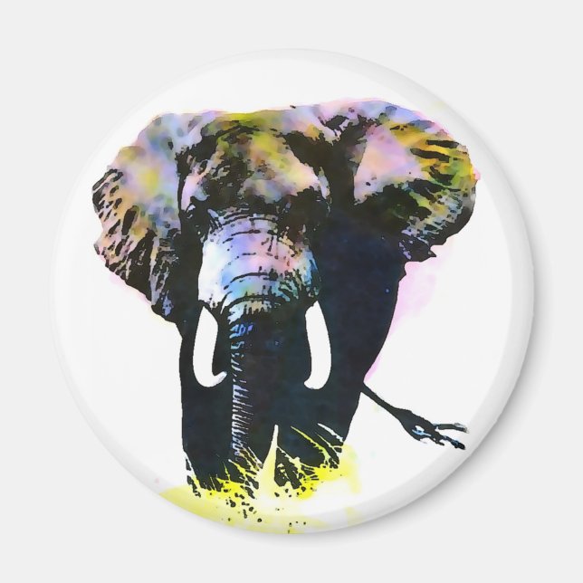 Elephant Magnet (Framsidan)