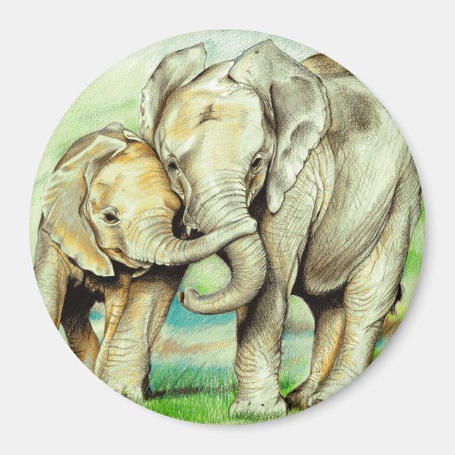 Elephant Magnet (Framsidan)