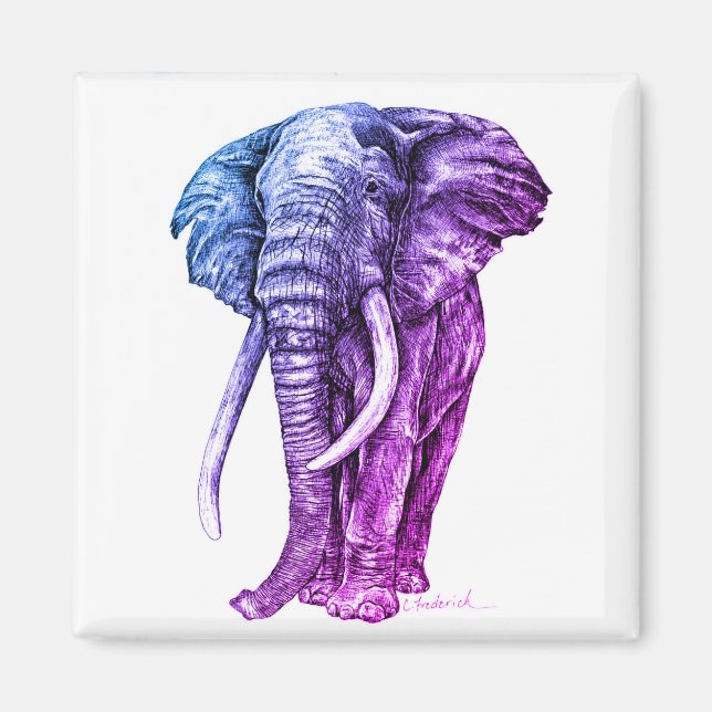 Elephant Magnet (Framsidan)