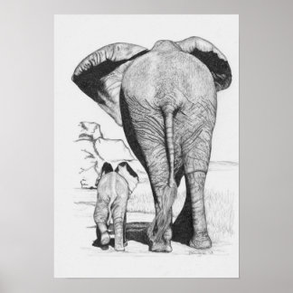 Elephant Mamma och Baby Poster