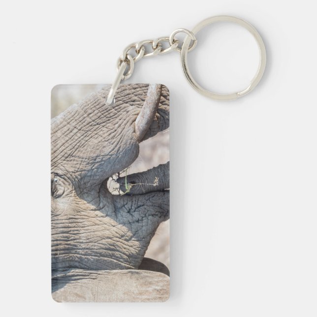 Elephant matar (Baksidan)