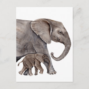Elephant med Baby Elephant Vykort