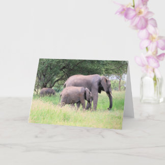 Elephant med Calves Wildlife Baby djur Photo Kort