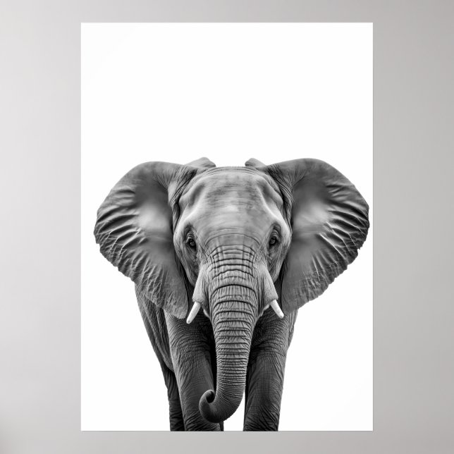 Elephant Modern Black White Poster (Framsidan)