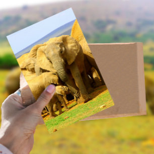 Elephant mor och calf Postcard Vykort