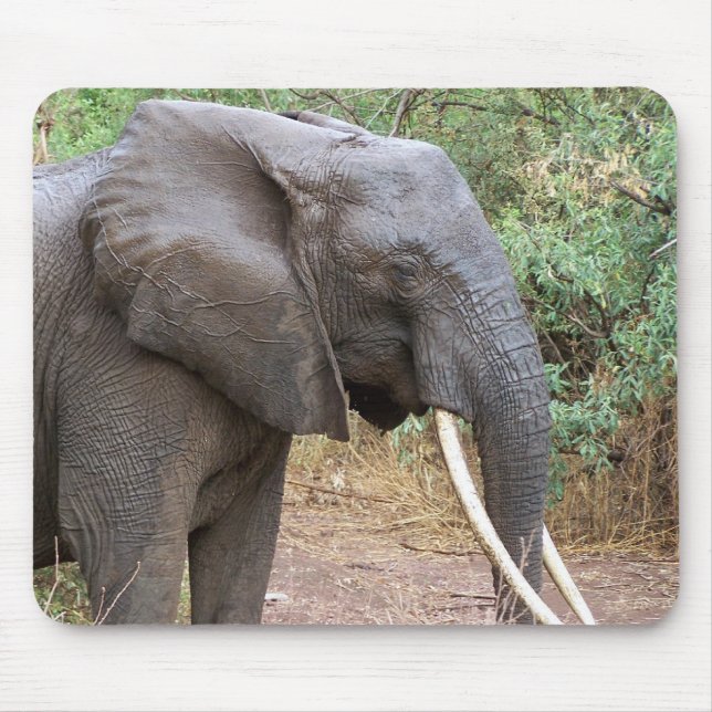 Elephant Mousepad Musmatta (Framsidan)