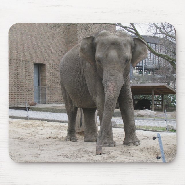 ELEPHANT mousserande Musmatta (Framsidan)