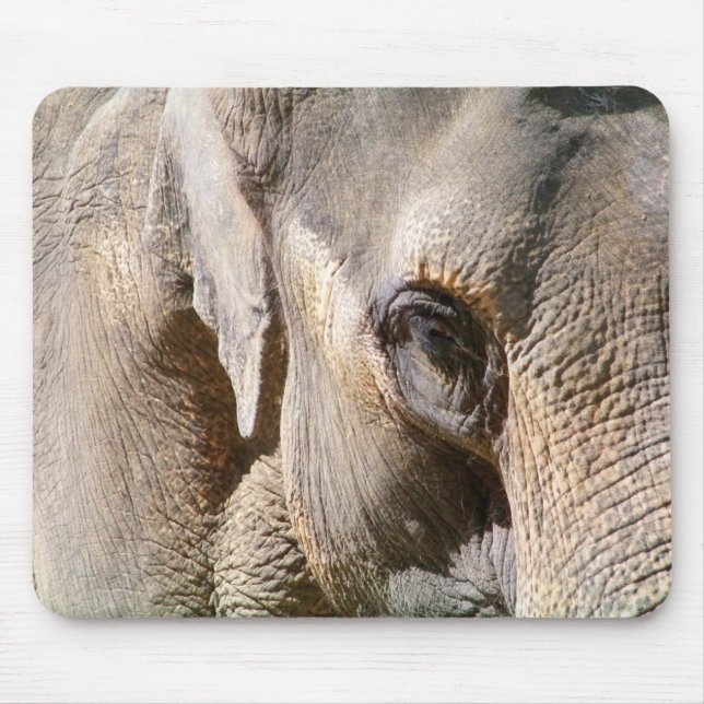 ELEPHANT MUSMATTA (Framsidan)