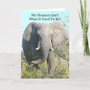 ELEPHANT-/MYMINNET ÄR INTE VAD DET SOM ÄR VAN VID KORT