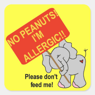 Elephant No Peanuts I är Allergic Fyrkantigt Klistermärke