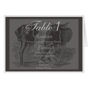Elephant OBS Kort