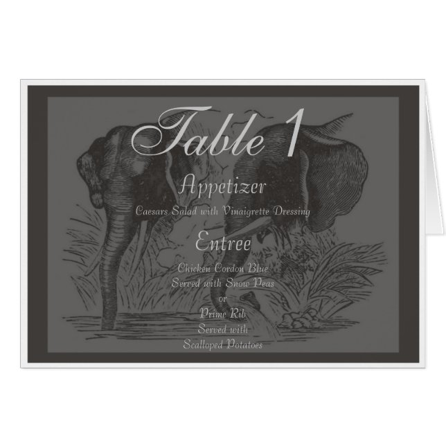 Elephant OBS Kort (Framsidan Horizontal)