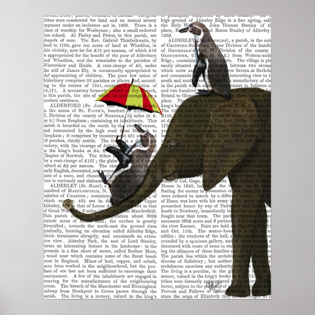 Elephant och Penguin Poster (Framsidan)
