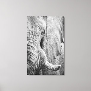 Elephant Öga Canvastryck