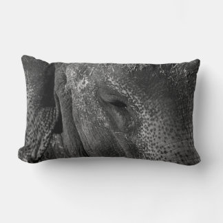 Elephant Öga Pillow Lumbarkudde