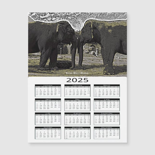 Elephant Ögon 2025-kalender (Framsida)