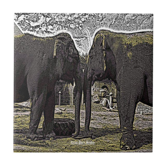 Elephant Ögon Kakelplatta (Framsidan)