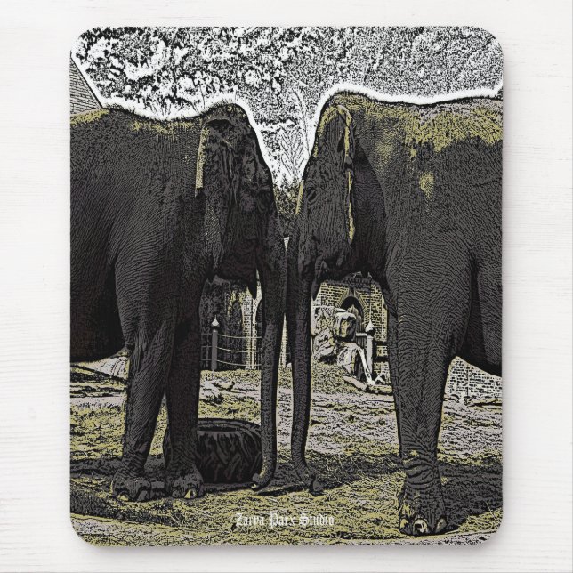 Elephant Ögon Musmatta (Framsidan)