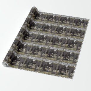 Elephant Ögon Presentpapper