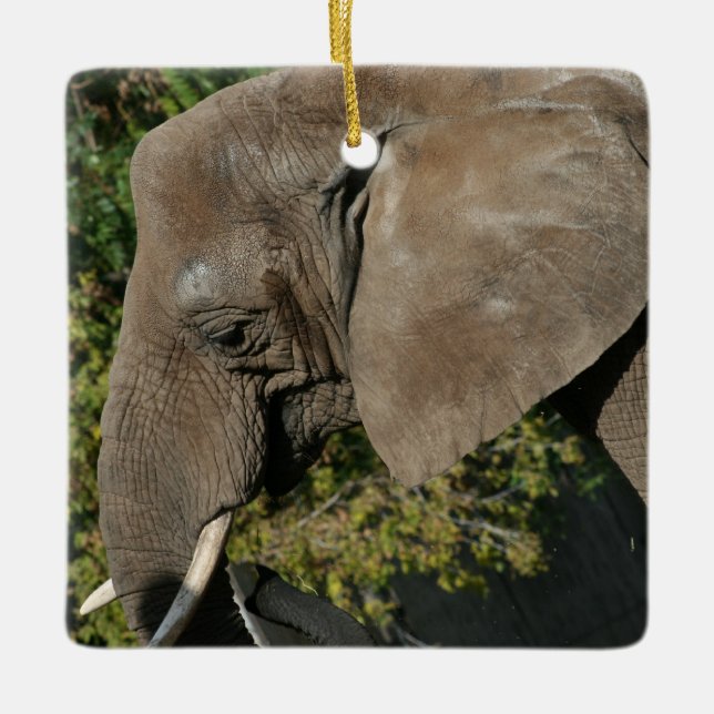 Elephant Ornament (Framsida)