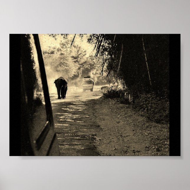 Elephant på en Stroll Poster (Framsidan)