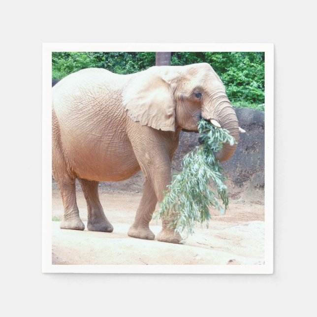 Elephant papper napkins pappersservett (Framsidan)