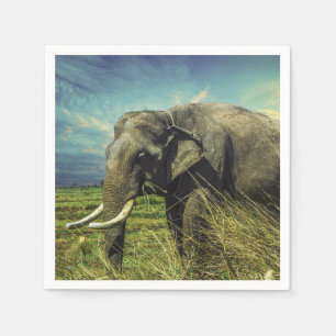 Elephant Pappersservett