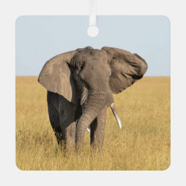 Elephant Personalize Namn Photo-jul Julgransdekoration