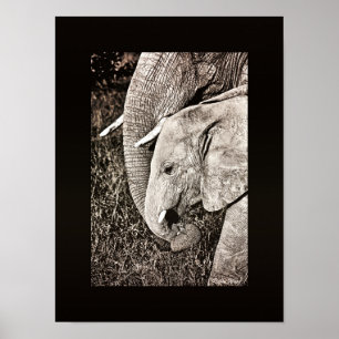 Elephant Photo African art PORTFOLIO storlek Poster