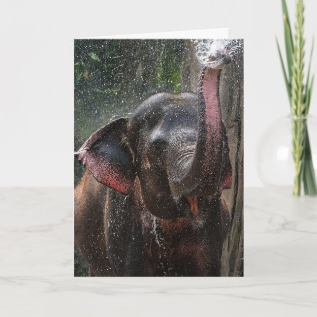 ELEPHANT PHOTOGRAPH FUNNY STÄNK BIRTHDAY KORT (Framsida)