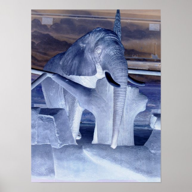 Elephant Pop Art Poster (Framsidan)