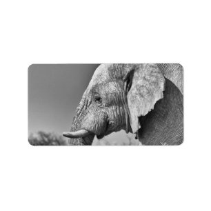 Elephant porträtt adressetikett
